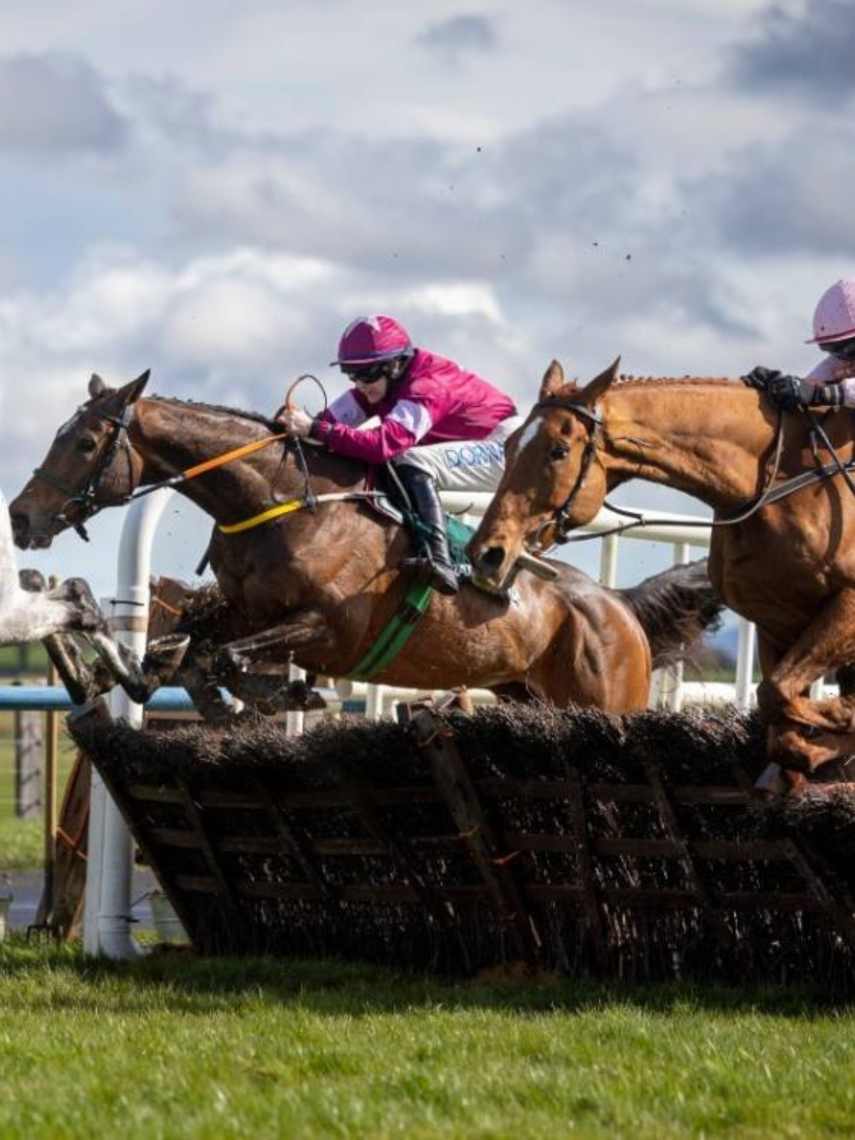 Horses and jockeys jumping a fence