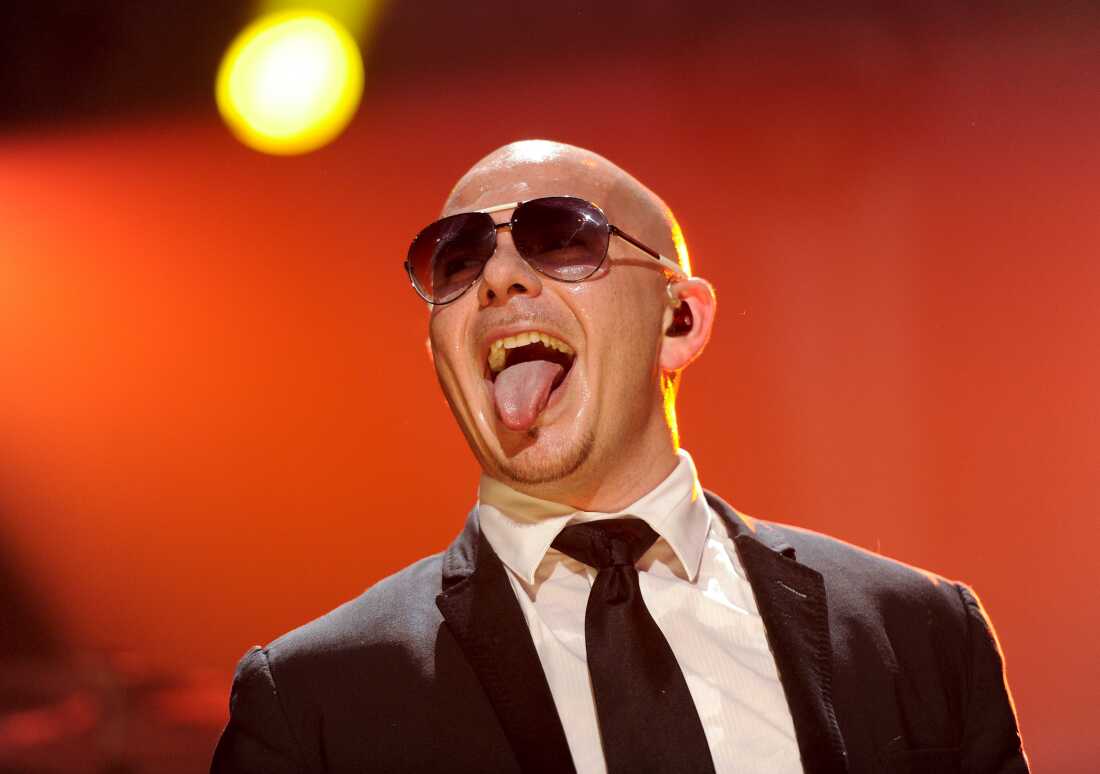 Pitbull at Marlay Park