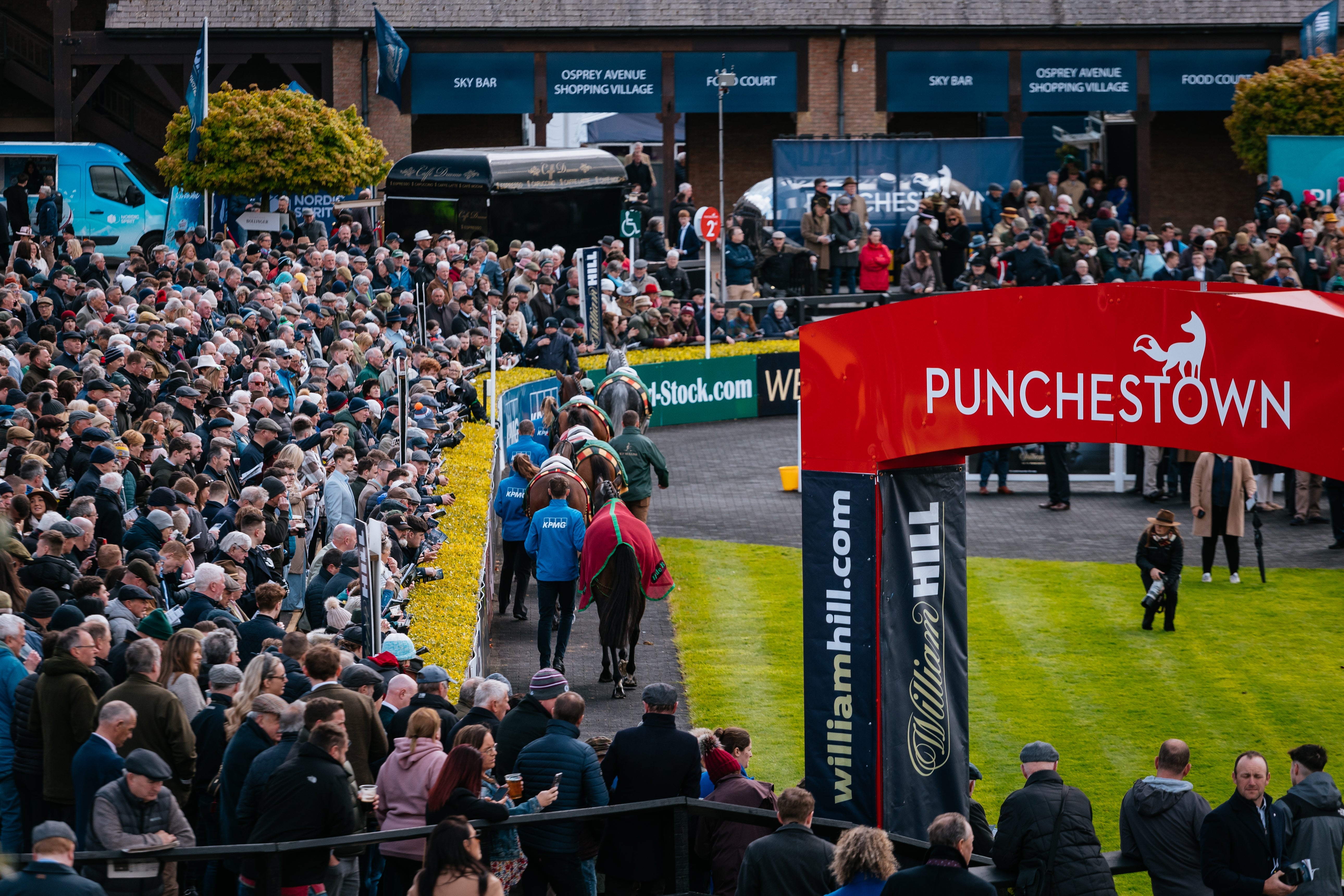 Buses to Punchestown Racing Festivals