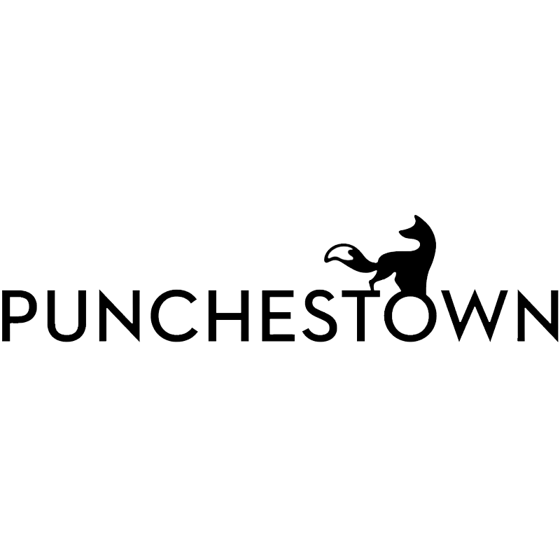 Marathon Coaches Partner - Punchestown Logo