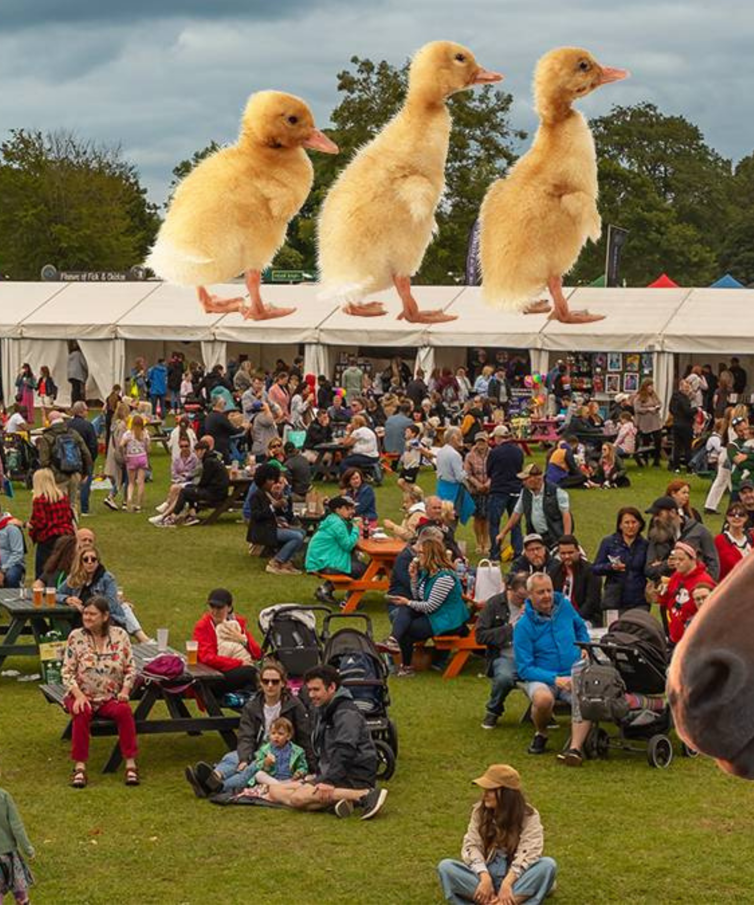 Flavours of Fingal - Orange Route