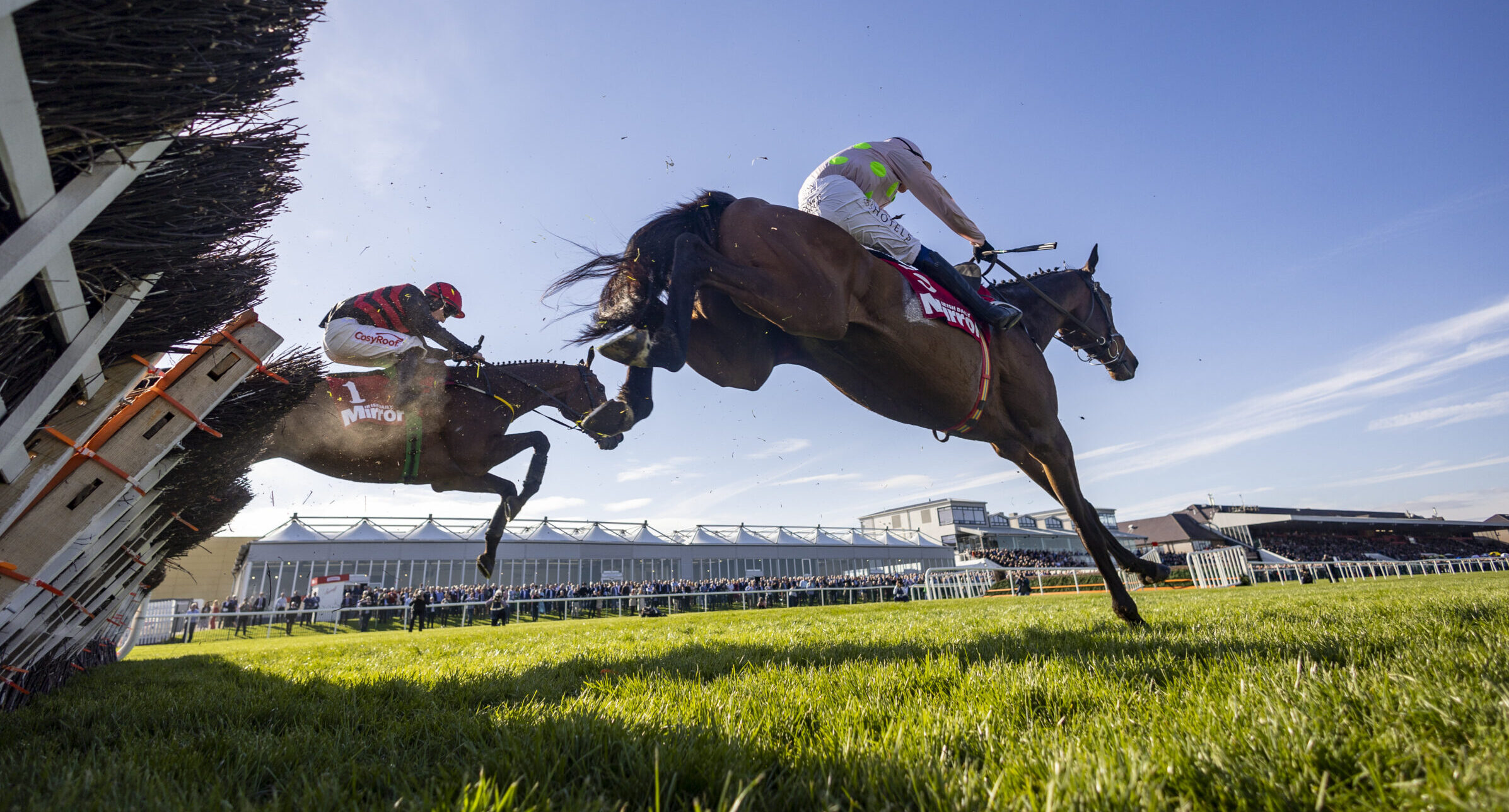 Buses Punchestown Races 2024