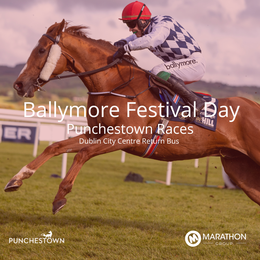 Return Bus - From Dublin City to Ballymore Festival Day at Punchestown Races - 03rd May