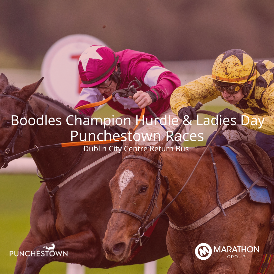 Return Bus - From Dublin City to Boodles Champion Hurdle & Ladies Day at Punchestown Races - 02nd May