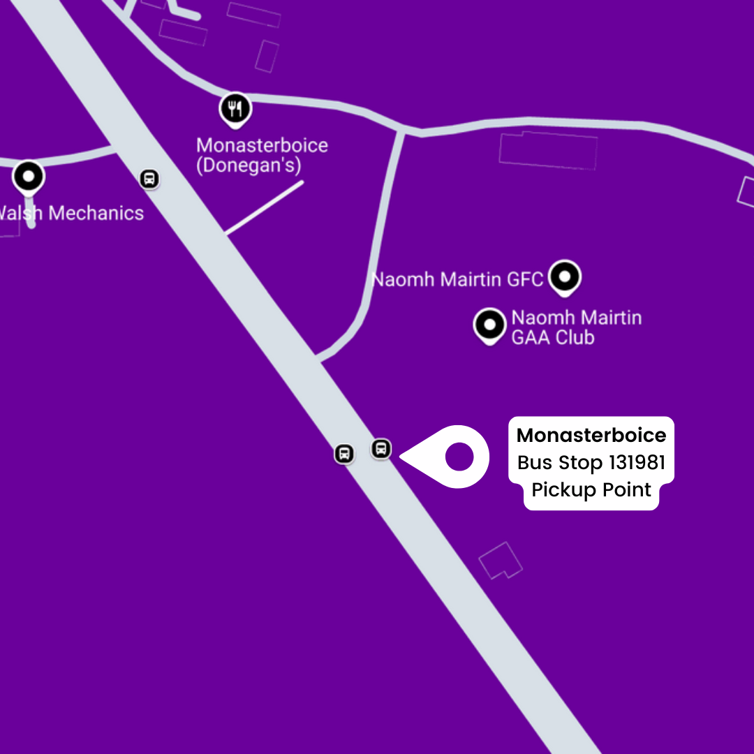 Return Bus - Castlebellingham, Dunleer Monasterboice & M1 Retail Park to Nick Cave & The Bad Seeds at Malahide - 10th June