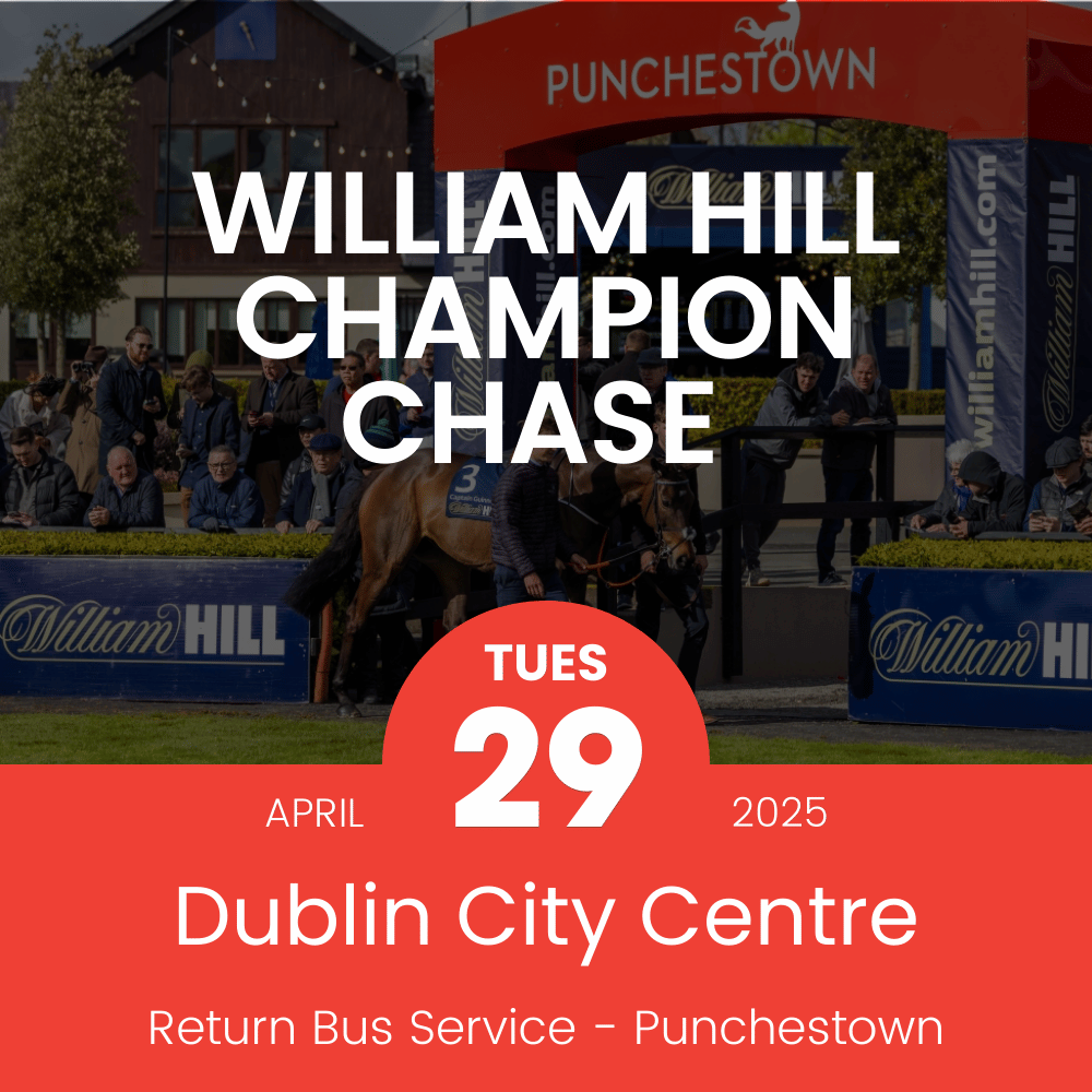 Bus to Punchestown for William Hill Champion Chase | Return from Dublin