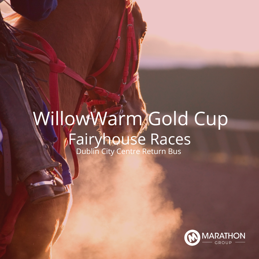 Return Bus - From Dublin City to WillowWarm Gold Cup at Fairyhouse Races - 20th April